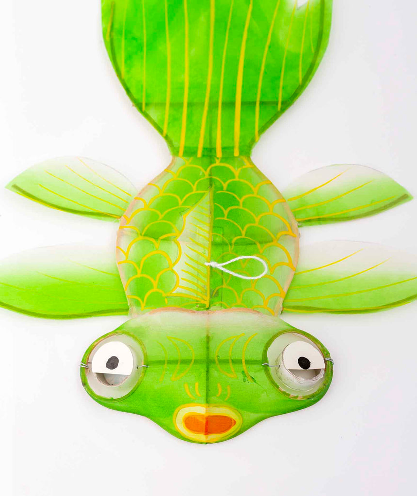 Cerf-volant poisson Miya vert Petit Pan