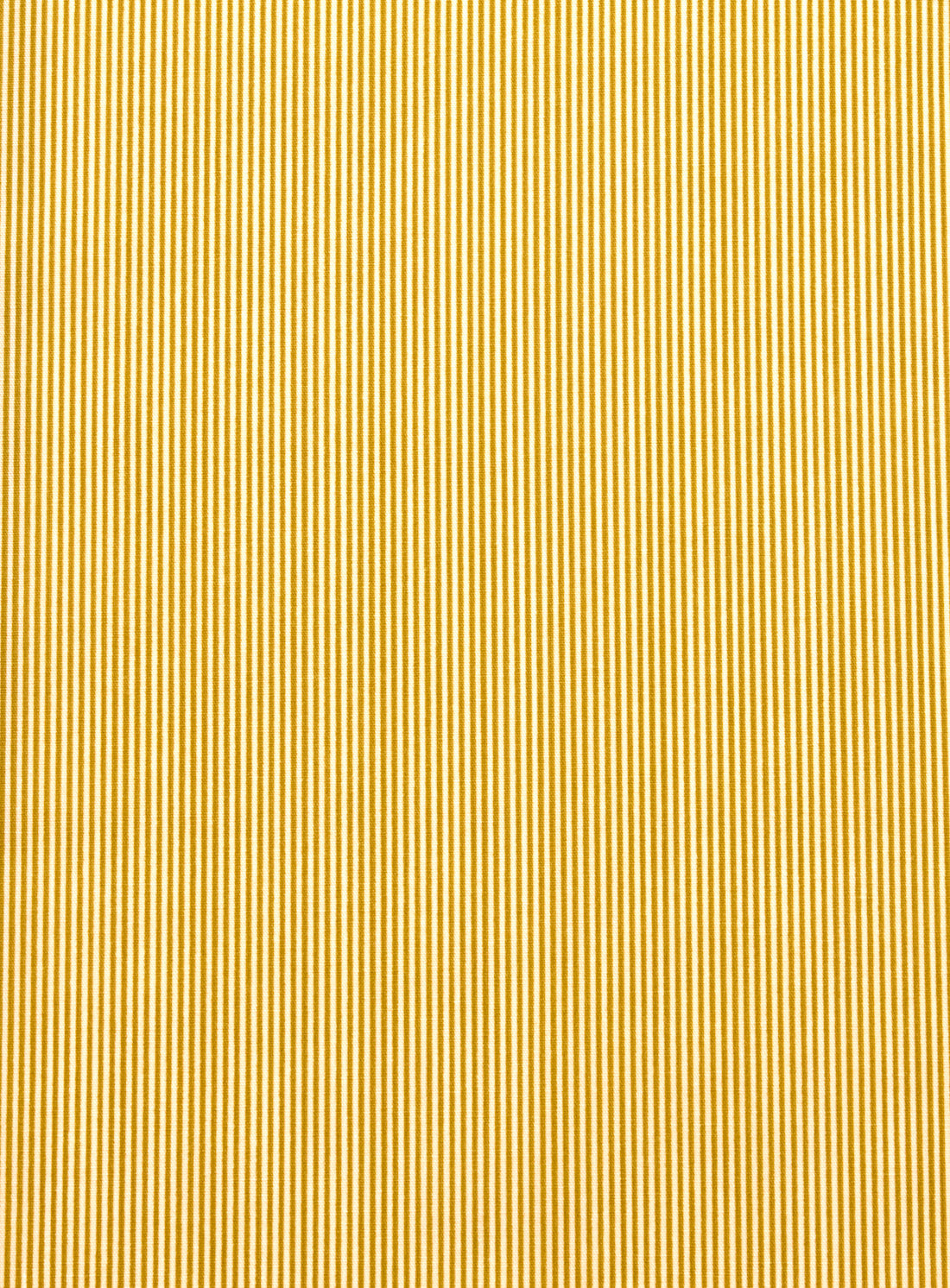 Coupon coton Rigato mousse