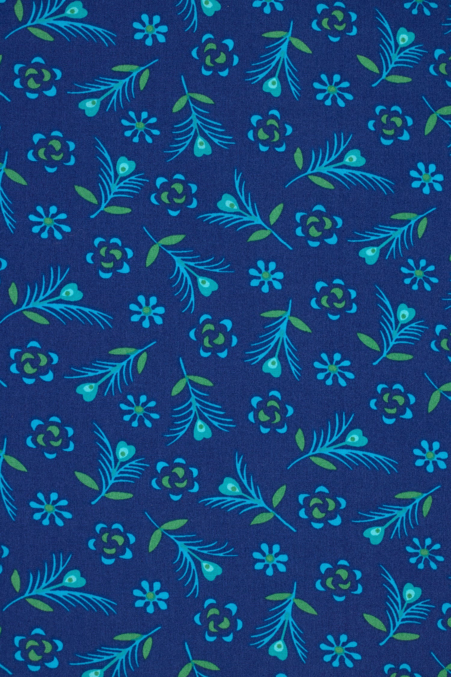 Kit de 8 coupons Hanako ivoire