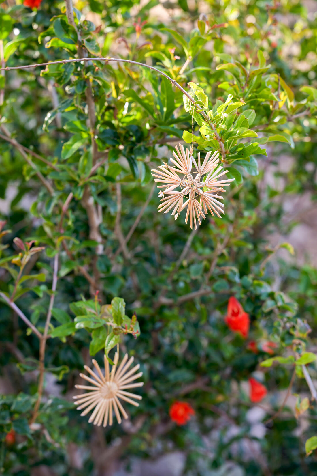 Set de 36 décorations en paille