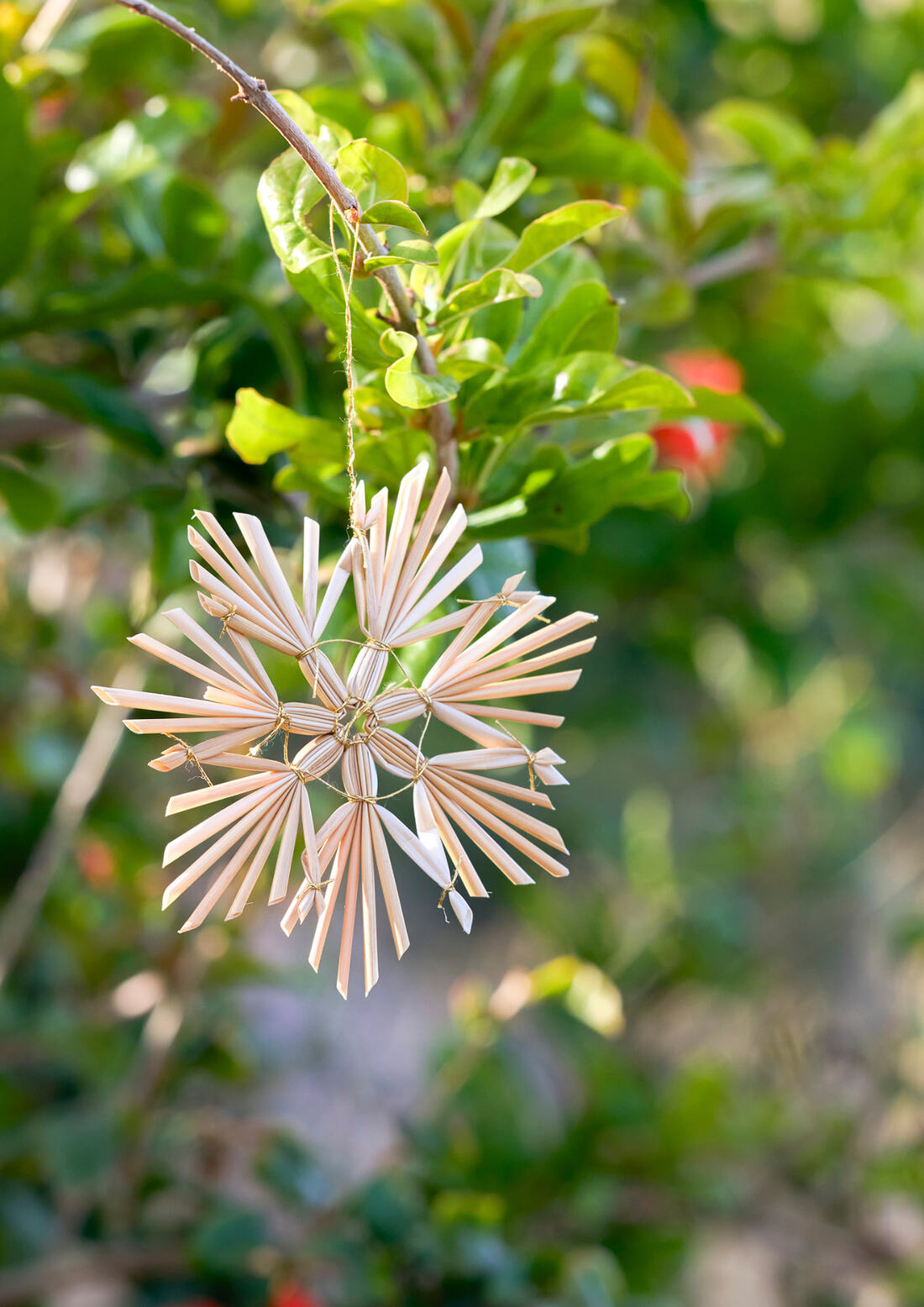 Set de 36 décorations en paille