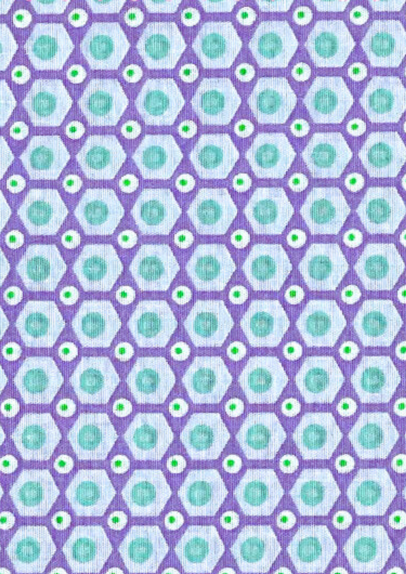 Coupon coton Mikko lilas