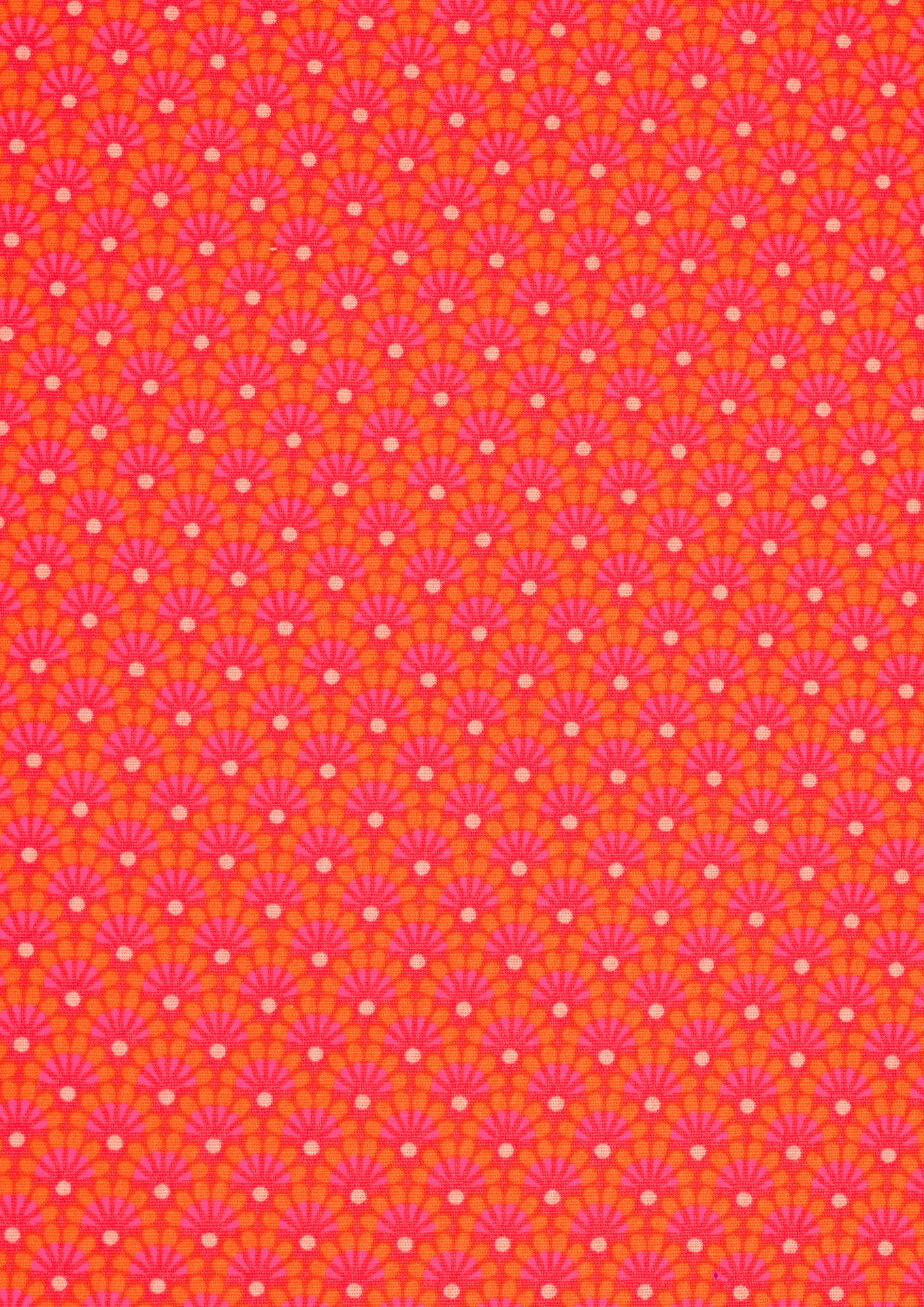 Gutschein für Zazen-Mandarine-Baumwolle