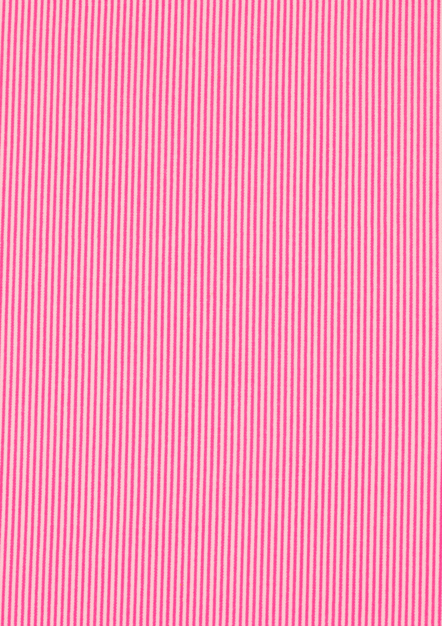 Petit Pan Rose Rigato Oilcloth